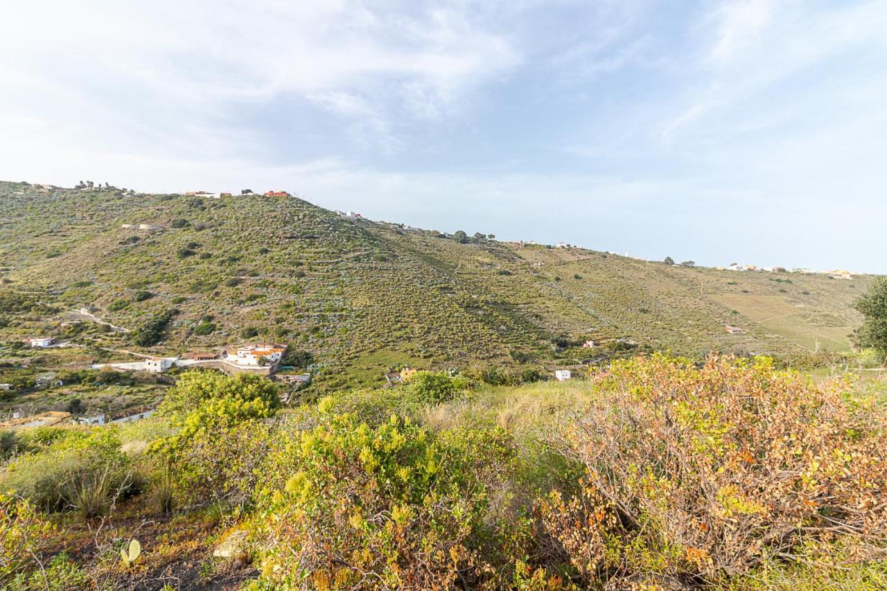 Balcon de Telde Villa Caiman מראה חיצוני תמונה